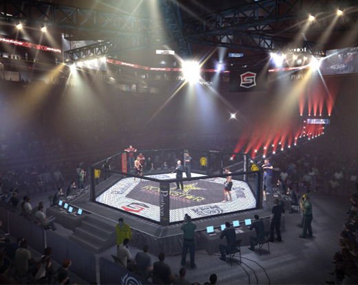 MMA là gì, UFC là gì? và những điều bạn cần biết về võ MMA