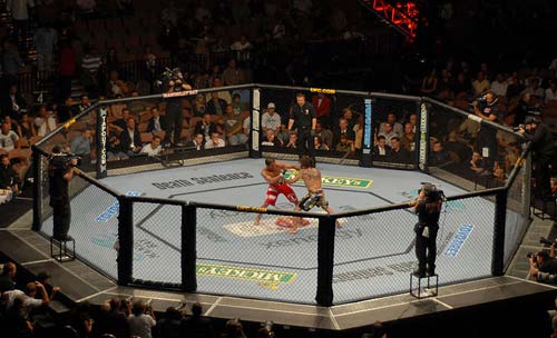 MMA là gì? UFC là gì? Những kiến thức về môn võ MMA | Bảo Châu Sport