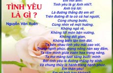 chân tình là gì