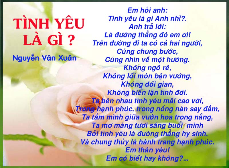 chân tình là gì