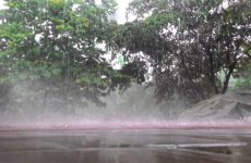 bài văn tả cơn mưa lớp 5