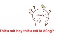 sai sót hay sai xót