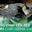 tắt âm thanh trên facebook