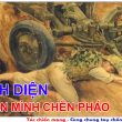 địa chỉ email của tôi là gì