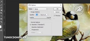 Xuất ảnh trong Photoshop – Lưu ảnh jpg, png, jpeg trong Ps