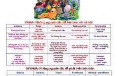 tích cực là gì