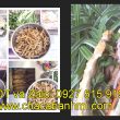 đi đường quyền là gì