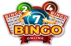 bingo là gì