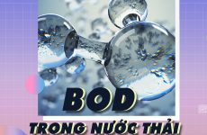 nước là gì