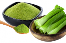 biện chứng là gì