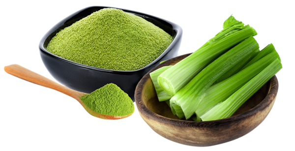 biện chứng là gì