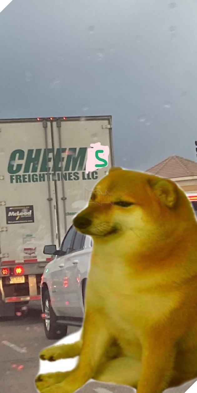Cheems Truck Meme Cheems là gì – Ênm đệnp léăm là gì – 1 tượng đài mới kế thừa Doge và ai cũng thấy thú vị – Gêm VN – Gêm.vn Trang thông tin về game