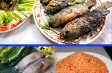 mi nơ là gì