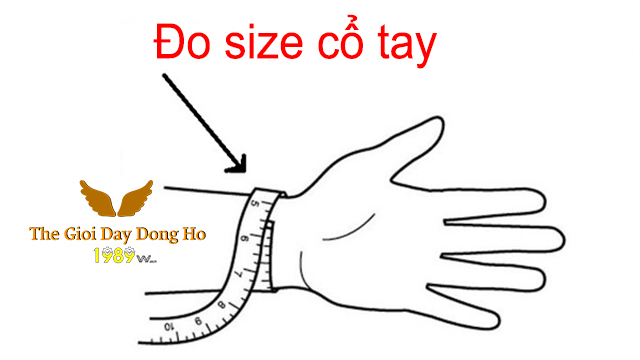 Hướng Dẫn 3 Cách Đo Size Dây Đồng Hồ dễ thực hiện nhất 5 Hướng Dẫn 3 Cách Đo Size Dây Đồng Hồ Dễ Thực Hiện Nhất