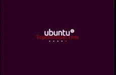 cài ubuntu bằng usb