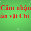phân tích chí phèo