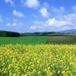xóa ảnh trên picasa
