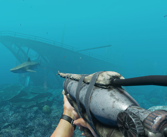stranded deep cấu hình
