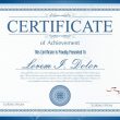 undergraduate là gì