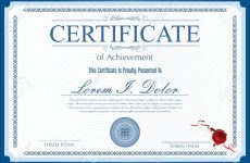 undergraduate là gì