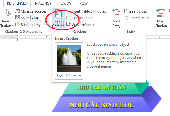 Thêm mô tả cho hình ảnh trong Word Tạo danh mục bảng biểu trong Word tự động