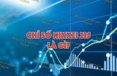 blue chip là gì