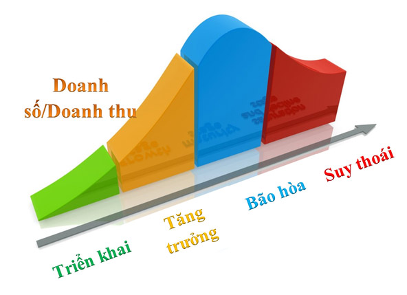 Sản phẩm là gì | Những điều cần biết về vòng đời sản phẩm