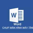 chụp màn hình excel