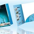 file pdf không in được