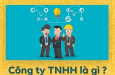 trách nhiệm hữu hạn là gì