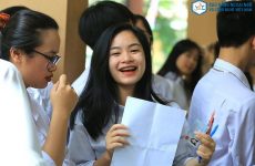 d08 gồm những môn nào