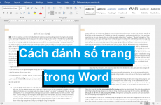 tại sao đánh số trang trong word không liên tục