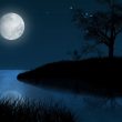 tả một đêm trăng đẹp