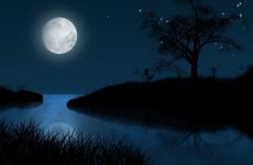 tả một đêm trăng đẹp