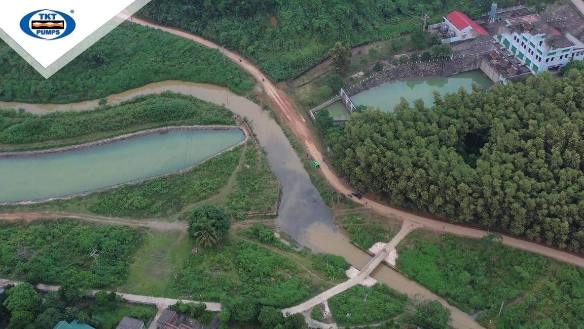 hac-le-hoa-dinh-4
