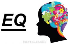 chỉ số eq là gì