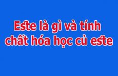 este là gì