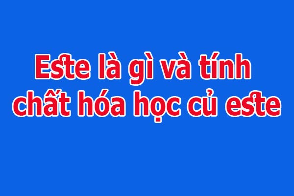 este là gì