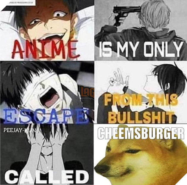 This Bullshit Meme Cheems là gì – Ênm đệnp léăm là gì – 1 tượng đài mới kế thừa Doge và ai cũng thấy thú vị – Gêm VN – Gêm.vn Trang thông tin về game