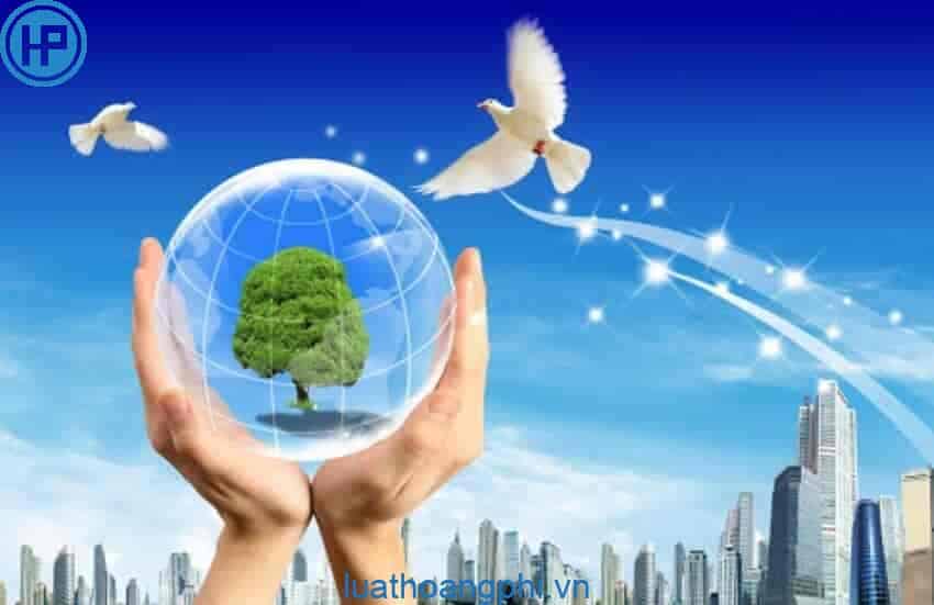 Phát triển là gì? Nguồn gốc của sự phát triển