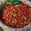 ngân sách nhà nước là gì