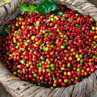 ngân sách nhà nước là gì