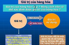 sản xuất hàng hóa là gì