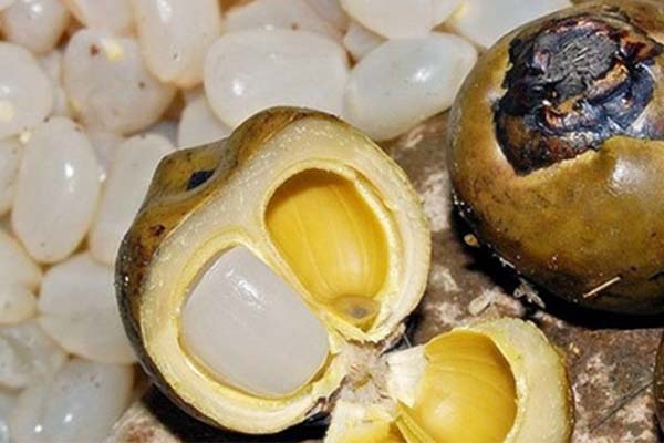 Dao Tao Bep Truong Nau An Chuyen Nghiep