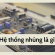 đặc điểm là gì