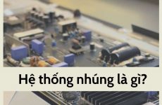đặc điểm là gì