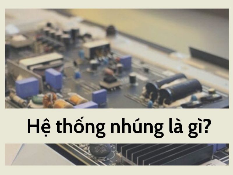 đặc điểm là gì