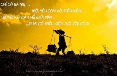 tình cảm gia đình là gì