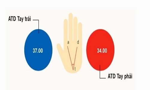 Chỉ số ATD là gì?