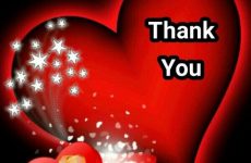hình ảnh lời cảm ơn chân thành